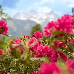 Oblasser Gasthuis Mayrhofen