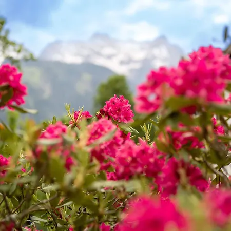 Oblasser Pensjonat Mayrhofen